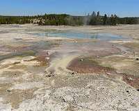 Why Does Microorganism Prefer Meager Rations Over Rich Ones
