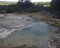 Scientists study Earth's earliest life forms in Nevada hot spring