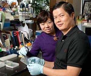 Plants cut the mustard for basic discoveries in metabolism