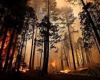 Portugal battles deadly forest fires