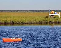 New technique quickly predicts salt marsh vulnerability
