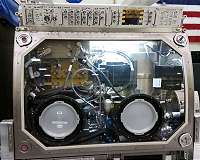 Space Station Crew Takes a Breather with Lung Tissue Investigation