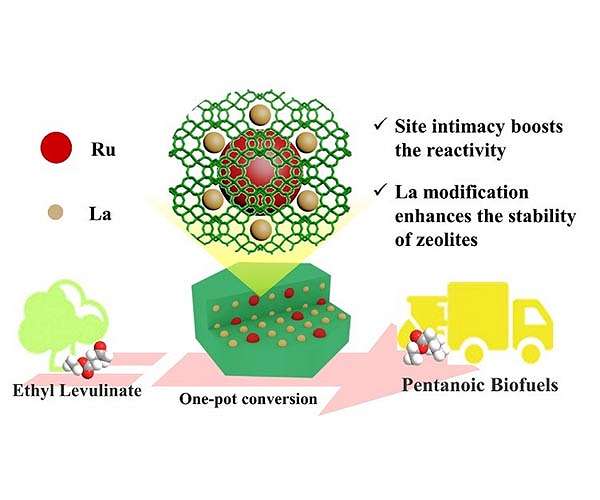 Zeolites make for efficient production of pentanoic biofuels