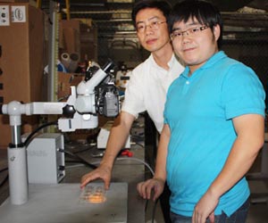 Cell Mechanism Findings Could One Day be Used to Engineer Organs
