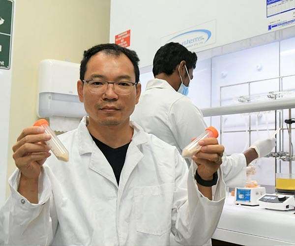 Biodegradable alternative could replace lithium-ion