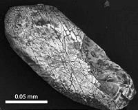 Trinity scientists reveal origin of Earth's oldest crystals