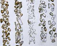 Antarctic zircons tell story of early volcanism