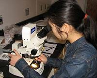 Microfossils reveal warm oceans had less oxygen