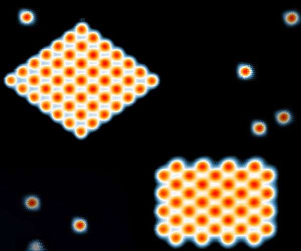 MIT physicists snap the first images of free-range atoms
