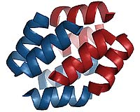 Crowdsourcing the phase problem