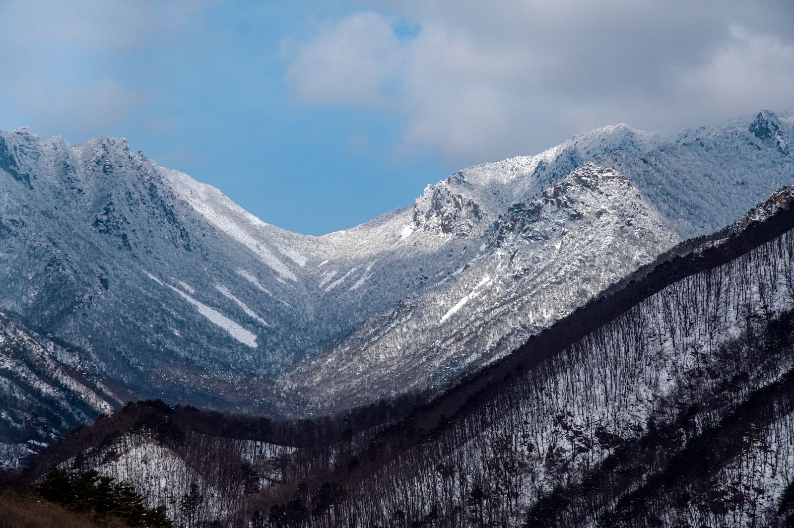 How did a honeycomb coal briquette help a war-damaged country regrow mountains stripped for firewood decades before nuclear power transformed its grid?