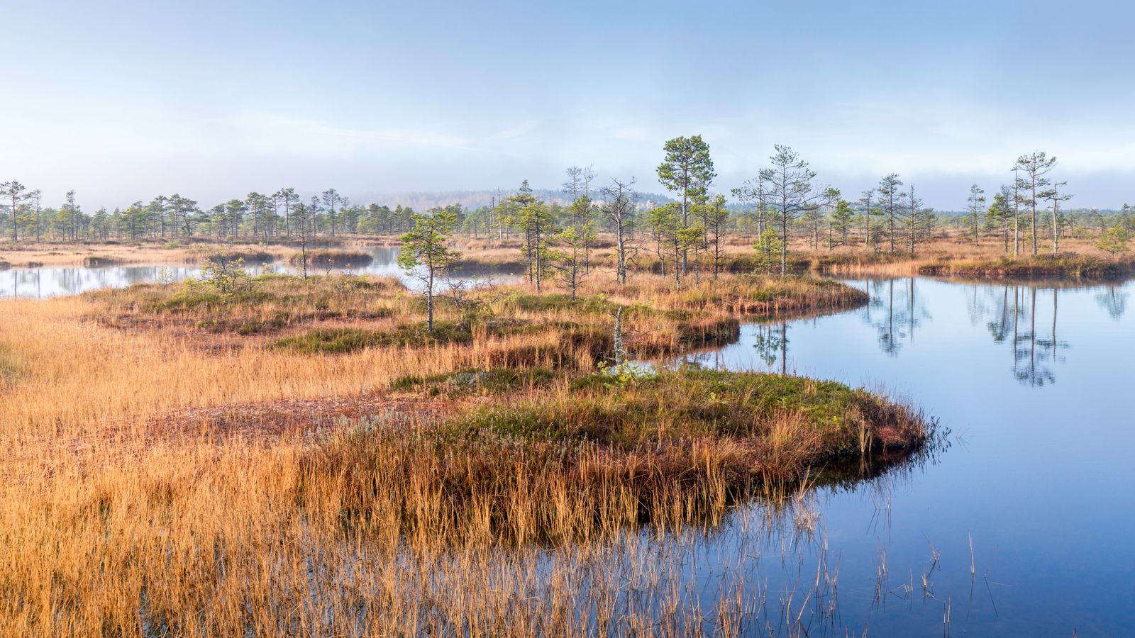 Indonesian peatland canal