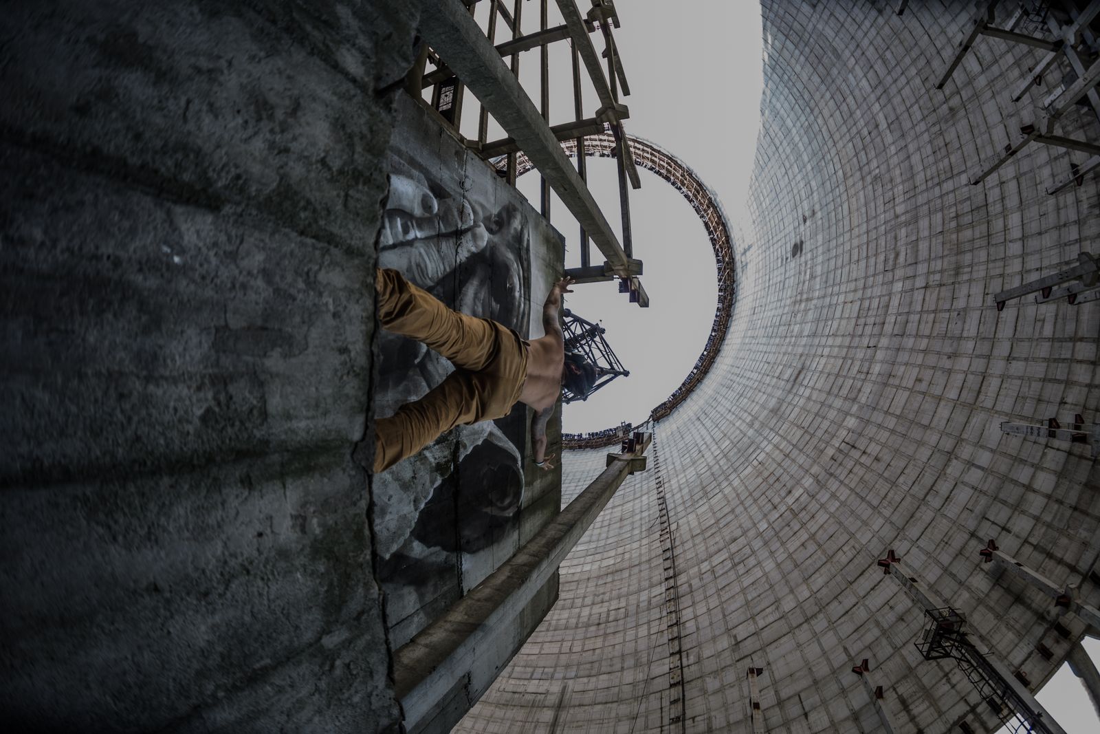 nuclear reactor fuel assembly