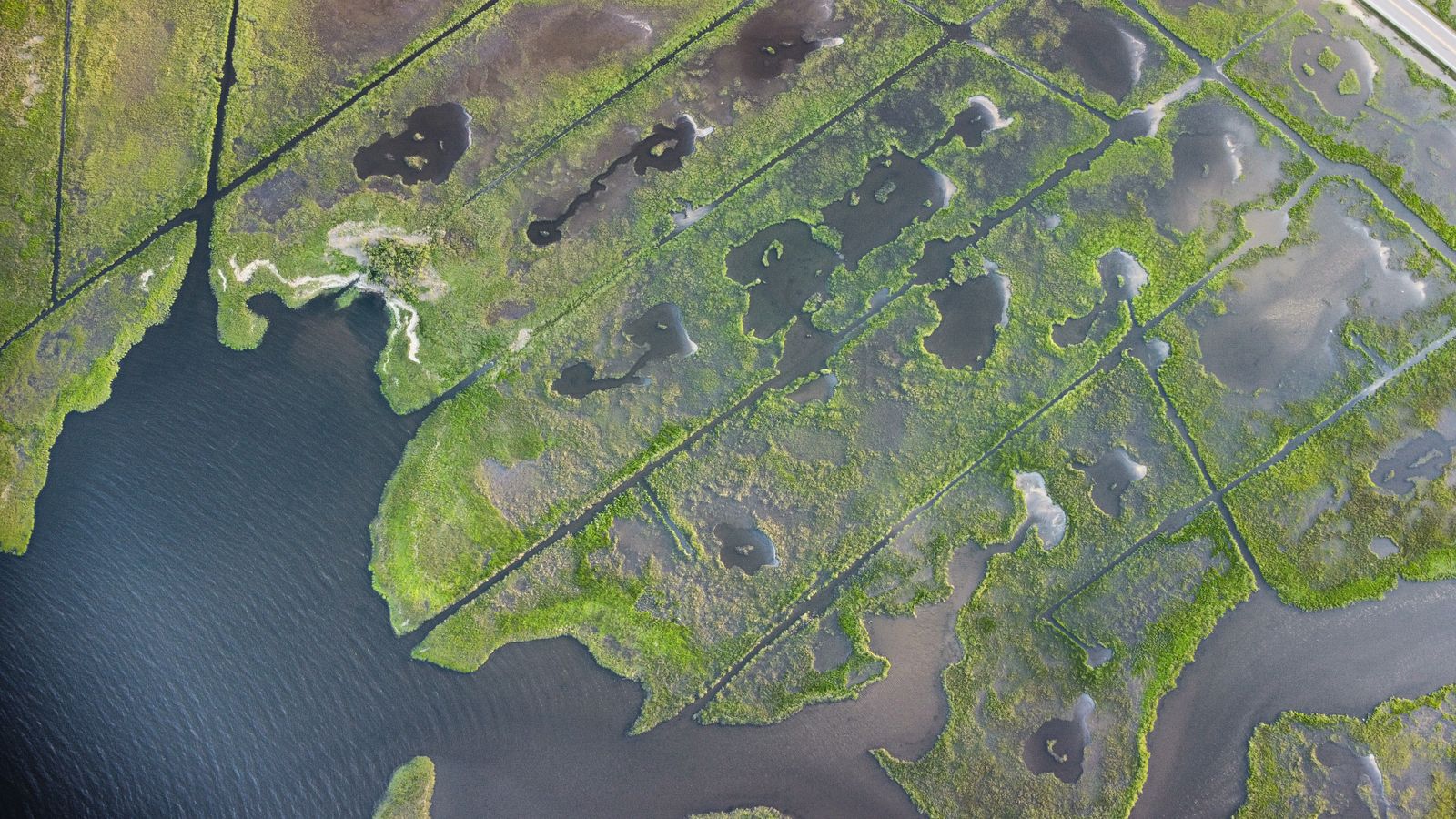 Why can draining one hectare of tropical peat swamp release more carbon over decades than one forest fire, and why did one Southeast Asian nation build thousands of dams inside its own canals?