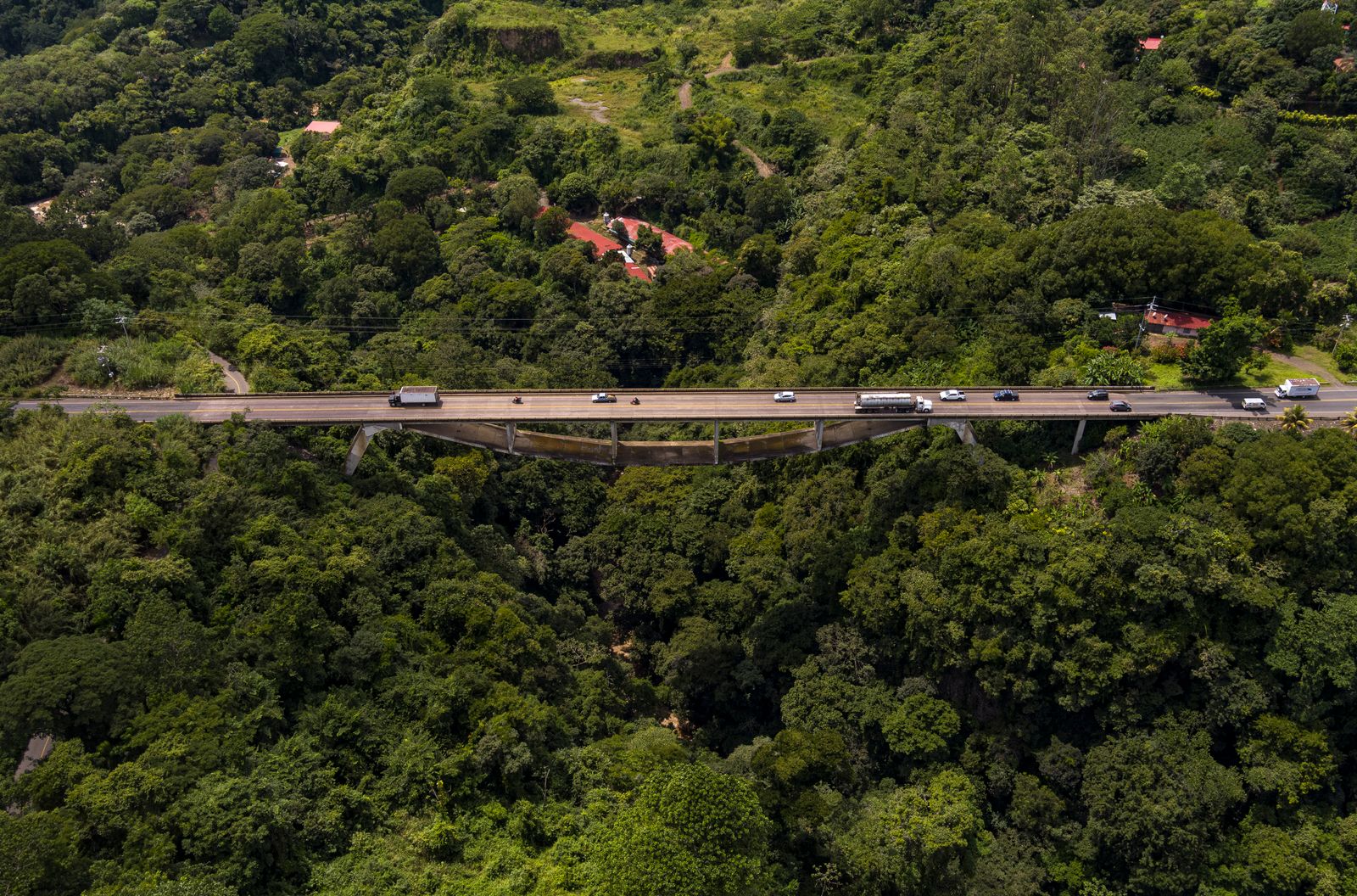 How did a Central American country smaller than West Virginia go from one of the worst deforestation rates on Earth to doubling its forest cover in a single generation, and what did it pay landowners to make it happen?
