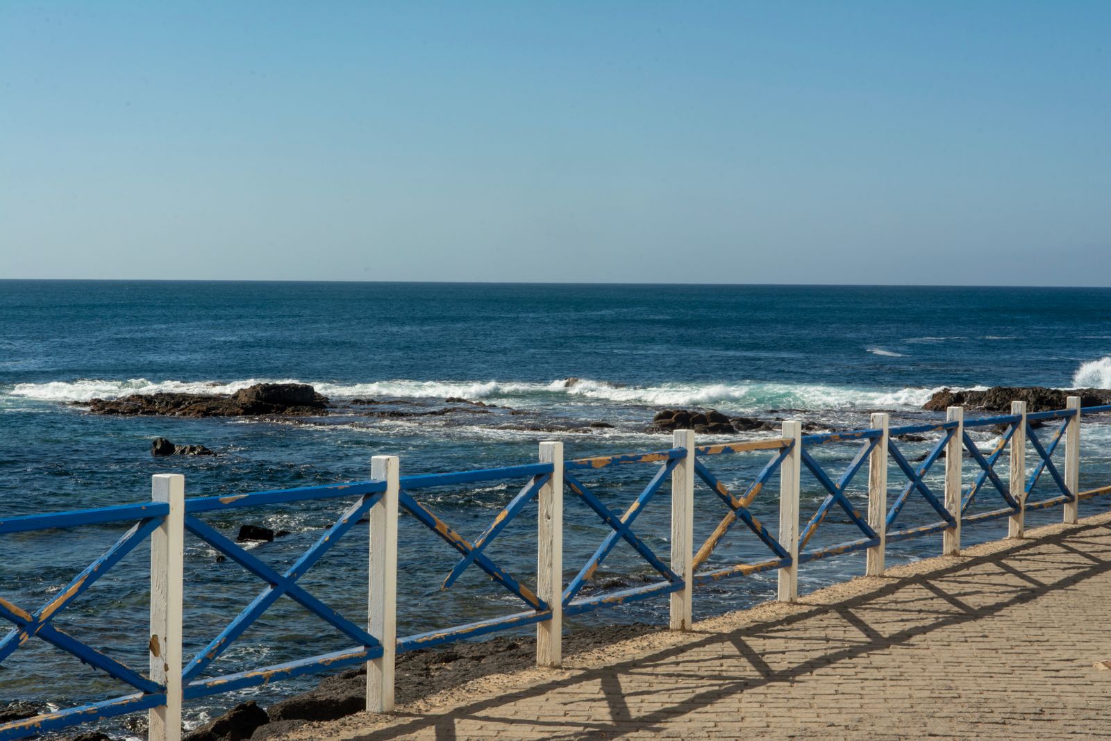 predator free island fence