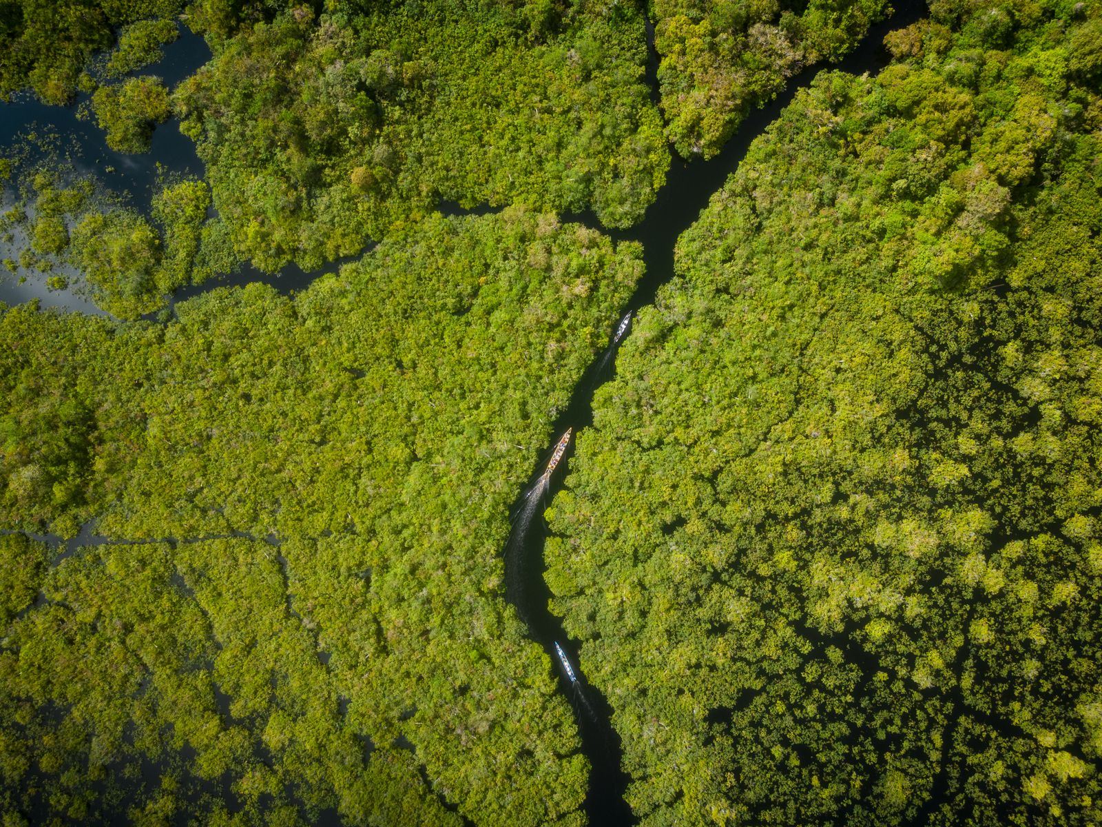 How did an island of fewer than 2,000 people place 317,500 square kilometres of ocean under management and ask sponsors to fund protection one square kilometre at a time?