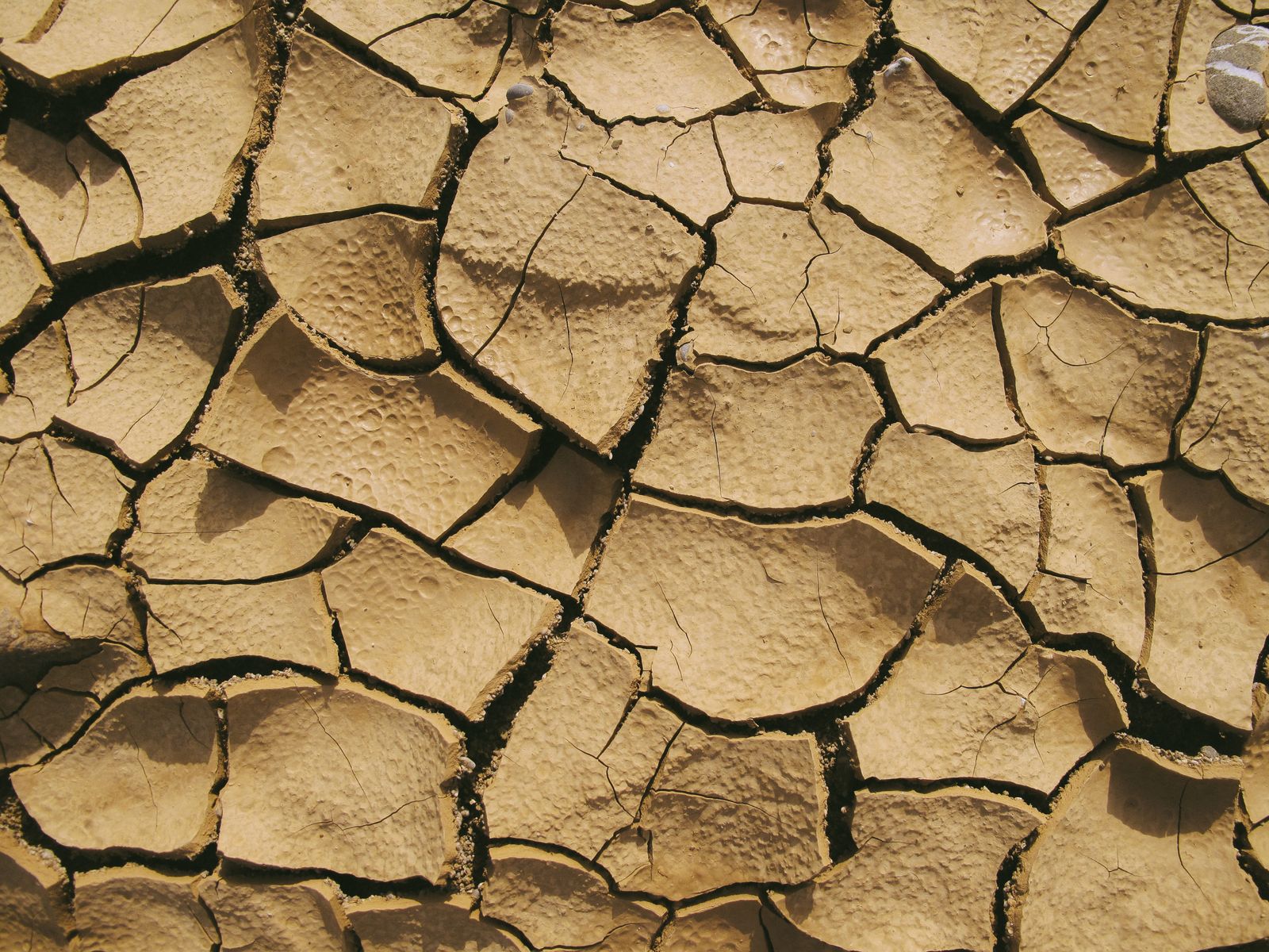 dried Aral Sea