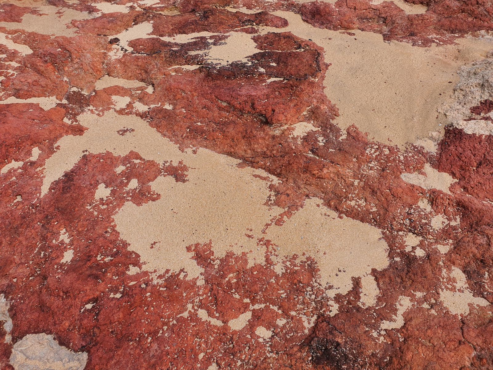 mars regolith sample