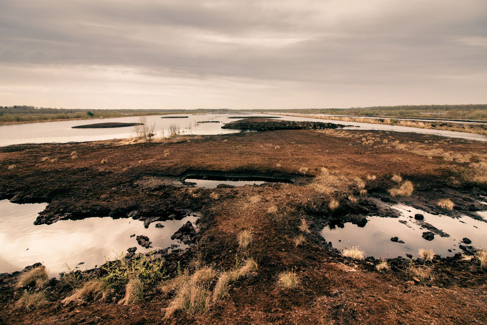 What happened when a Mediterranean national park watched its shallow marshes dry out while illegal wells fed a strawberry industry next door, and why did the European Court finally intervene?